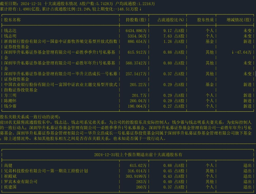 截至日期：2024-12-31 十大流通股东情况